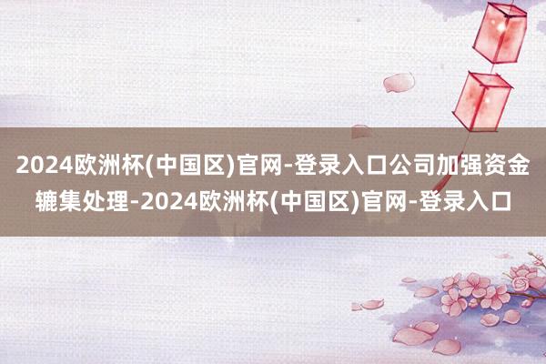 2024欧洲杯(中国区)官网-登录入口公司加强资金辘集处理-2024欧洲杯(中国区)官网-登录入口