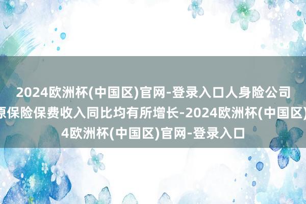 2024欧洲杯(中国区)官网-登录入口人身险公司和财产险公司原保险保费收入同比均有所增长-2024欧洲杯(中国区)官网-登录入口